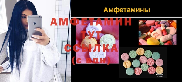 индика Абинск