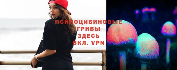 индика Абинск