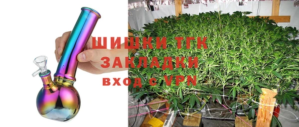 дмт Алексеевка