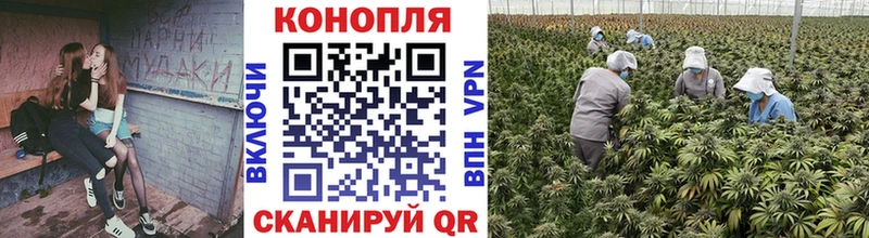 МАРИХУАНА индика где можно купить Цоци-Юрт